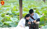 Dịu dàng mùa sen Hà Nội